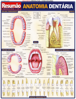 Anatomia dentária.pdf